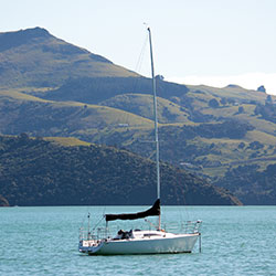 Harbour Sail