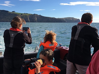 Family on boat tour taking photos of Akaroa scenery and watching wildlife